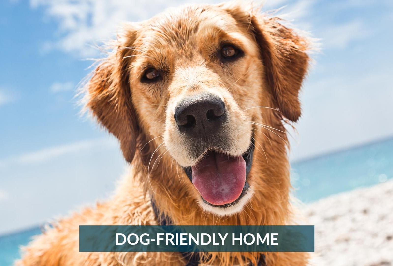 4011 The Dogs House 2 Min Walk To Beach キティ・ホーク エクステリア 写真